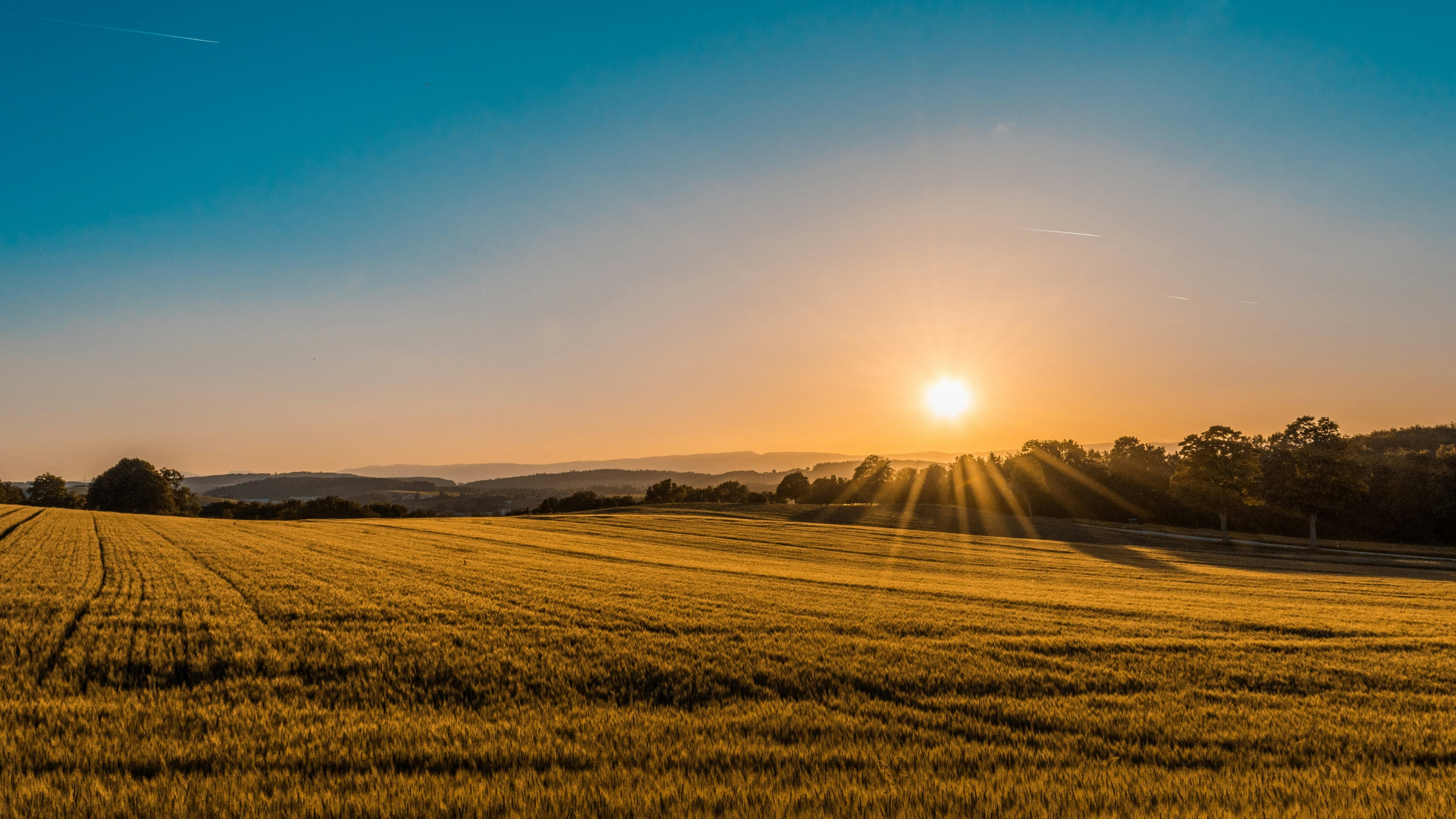 Agriculture Land Investment